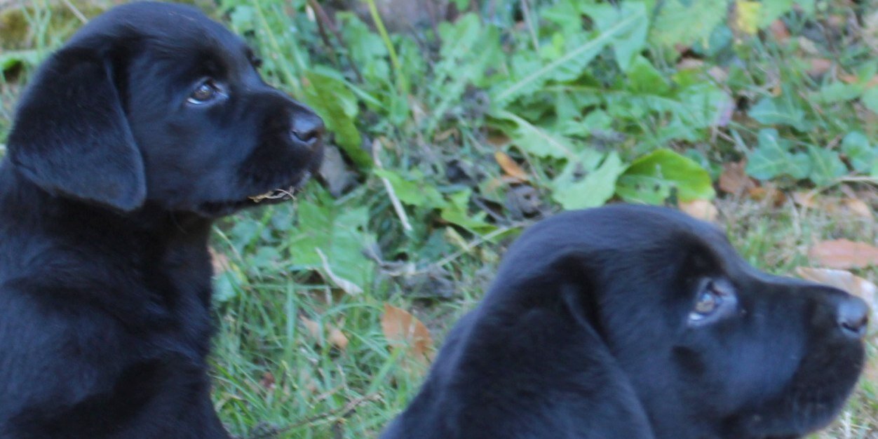 llucia_ms's profile banner image