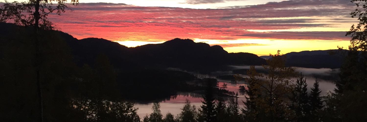 siggi_lie's profile banner image
