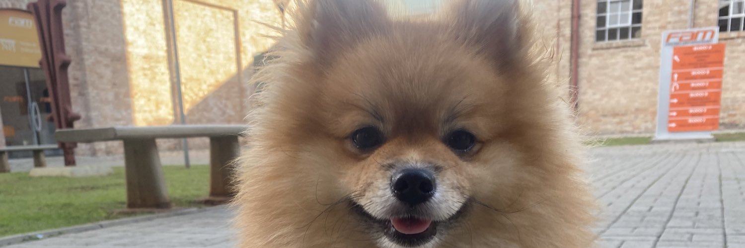 wesleyloiola_'s profile banner image