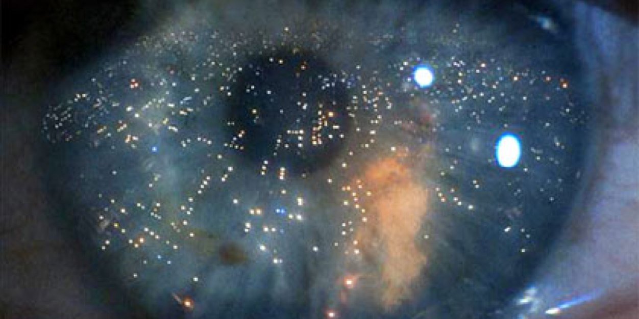 Jesús Bermúdez M banner