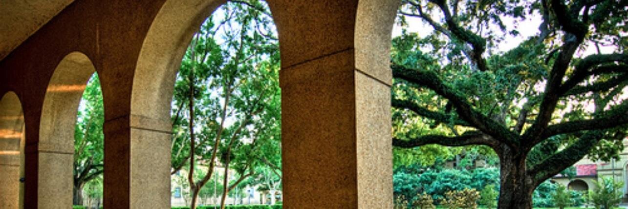 TheCauseLSU's profile banner image