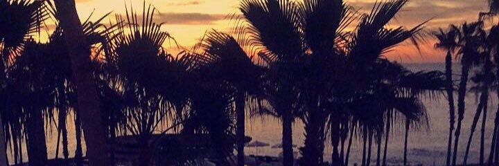 p_mzevap's profile banner image