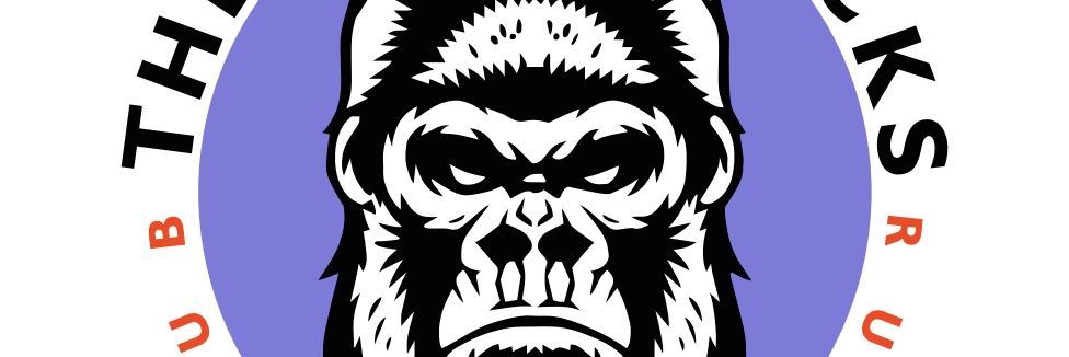 TheSilverbacks_'s profile banner image