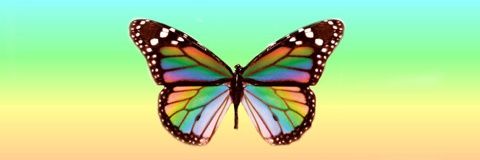 tabathaboiter1's profile banner image