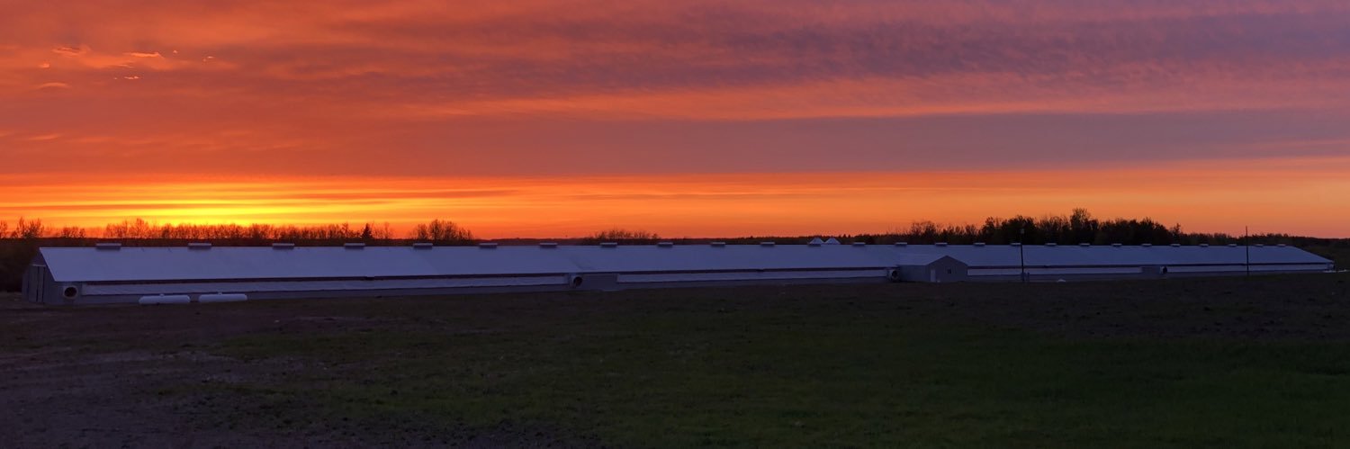 andy_hedlund's profile banner image
