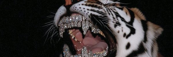 CheReal85 Profile Banner