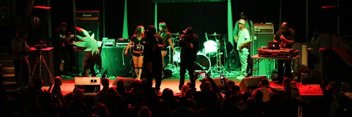 TheDanksta's profile banner image