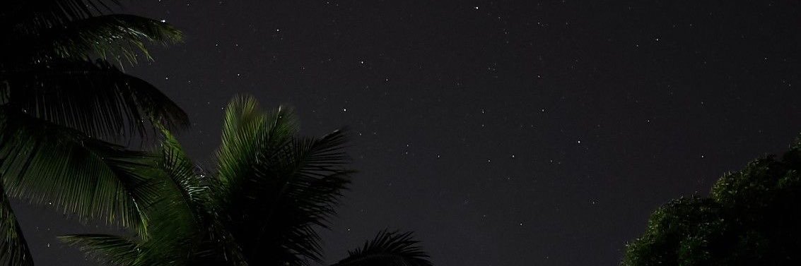 Halemh_771's profile banner image