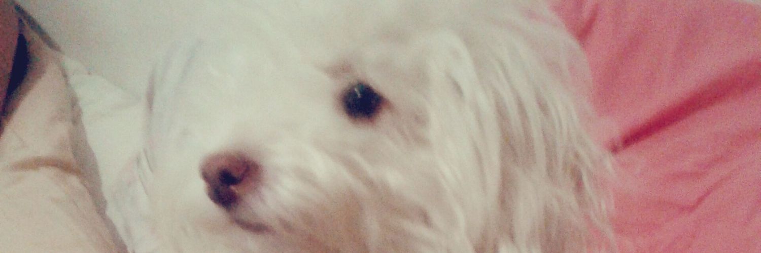Roxeeo's profile banner image