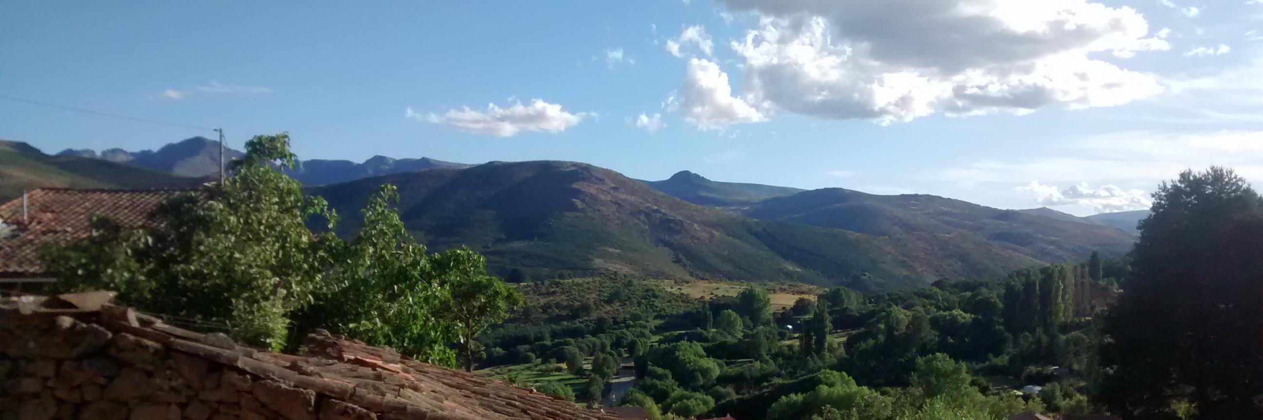 llanitos's profile banner image