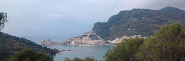 madfig Profile Banner