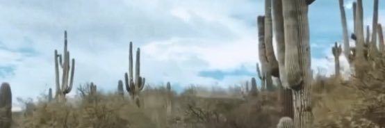 yellzzerrrr's profile banner image