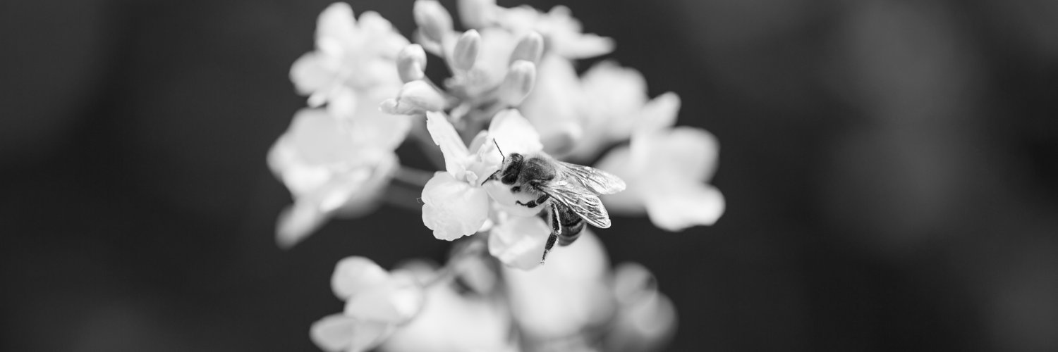 sonja_kuhar's profile banner image