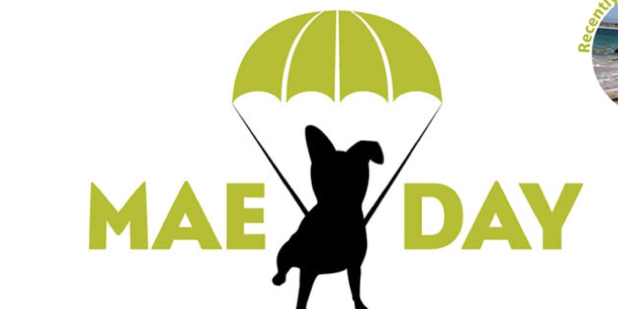 MaeDay Rescue banner