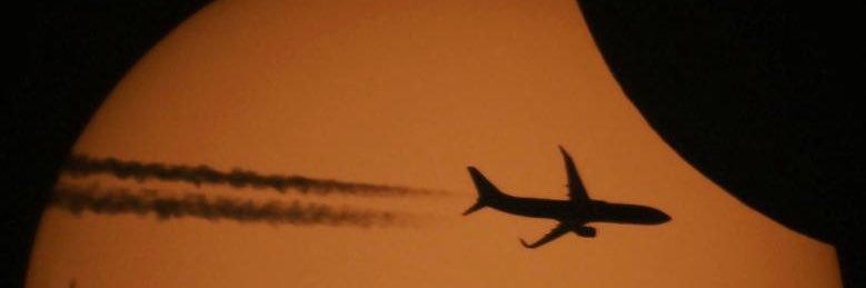 Patrícia Samora banner