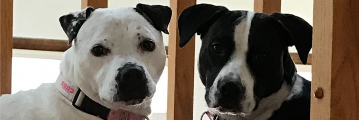 Edsen57's profile banner image