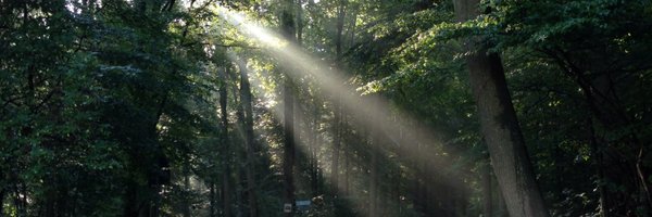 ebsma02 Profile Banner