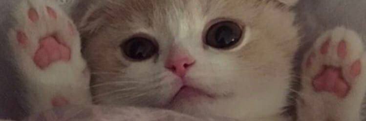 razdva_lenor's profile banner image
