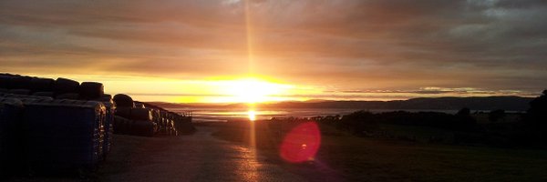 CKWeatherill Profile Banner