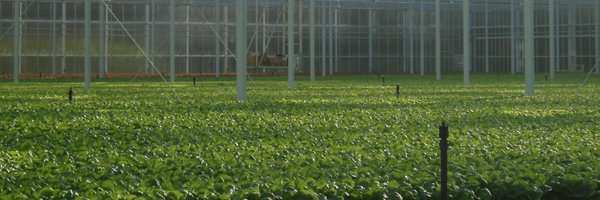 BrioAgro banner