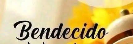 gaoliveros's profile banner image