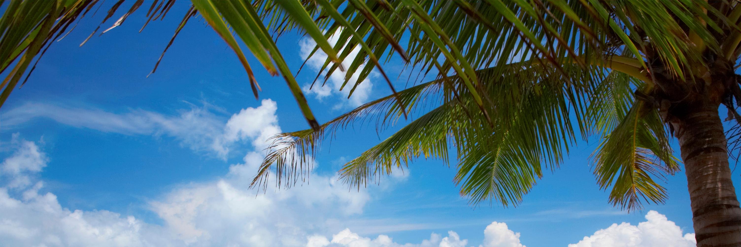 TimeshareProf's profile banner image