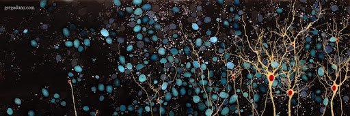 Rachel Blue MD banner