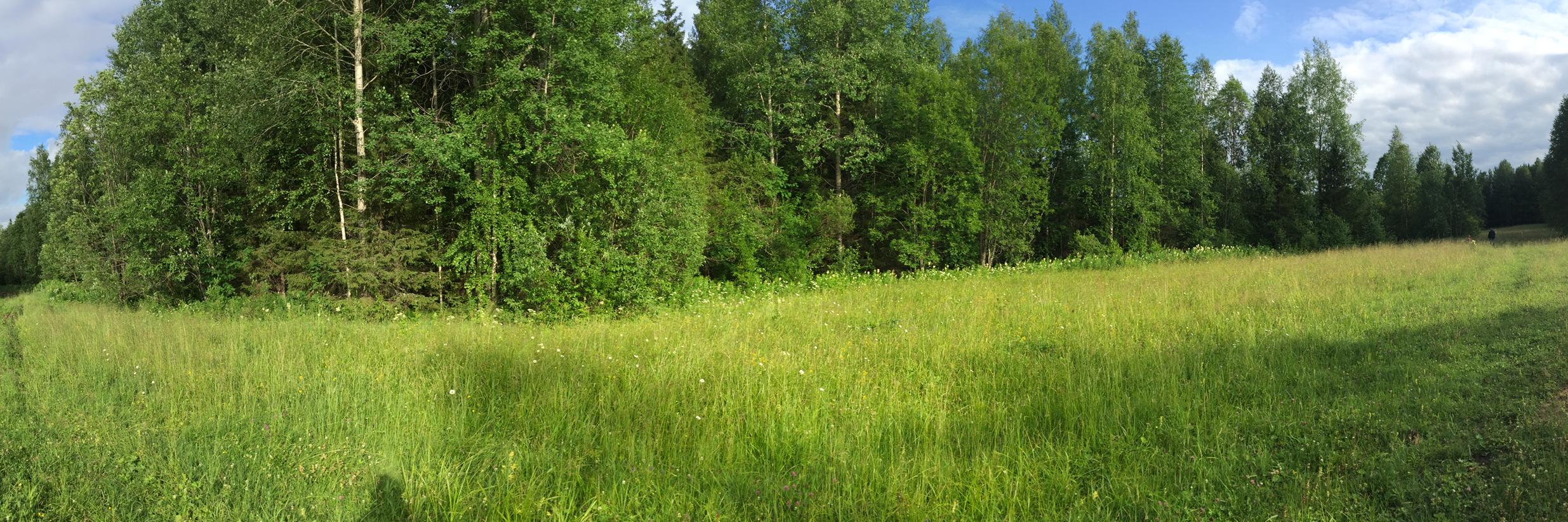 ivan_varankin's profile banner image