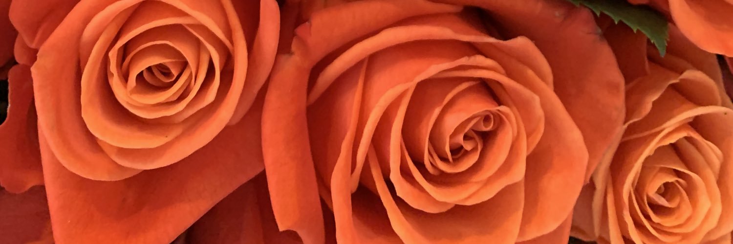 tk_treat's profile banner image