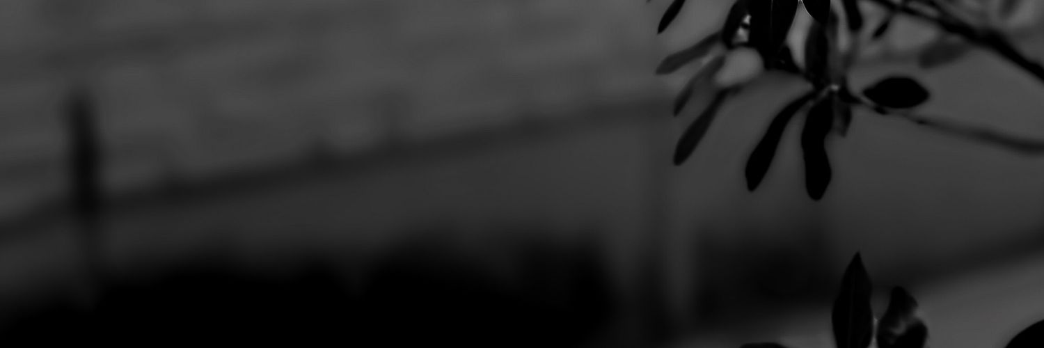 miladlali's profile banner image