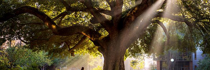 acuminx's profile banner image