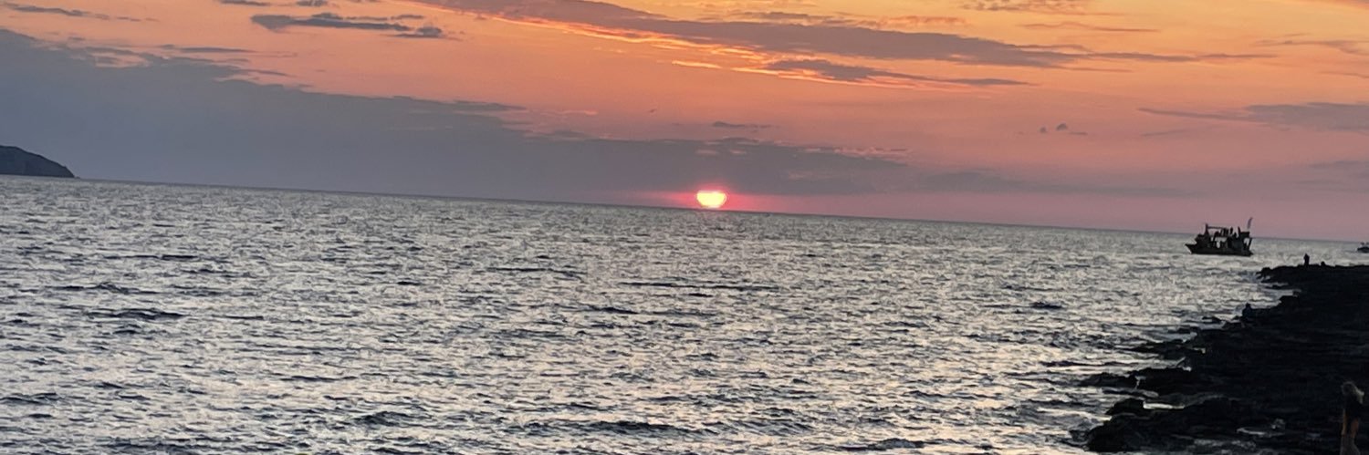 Fran Hunter (Denham) banner