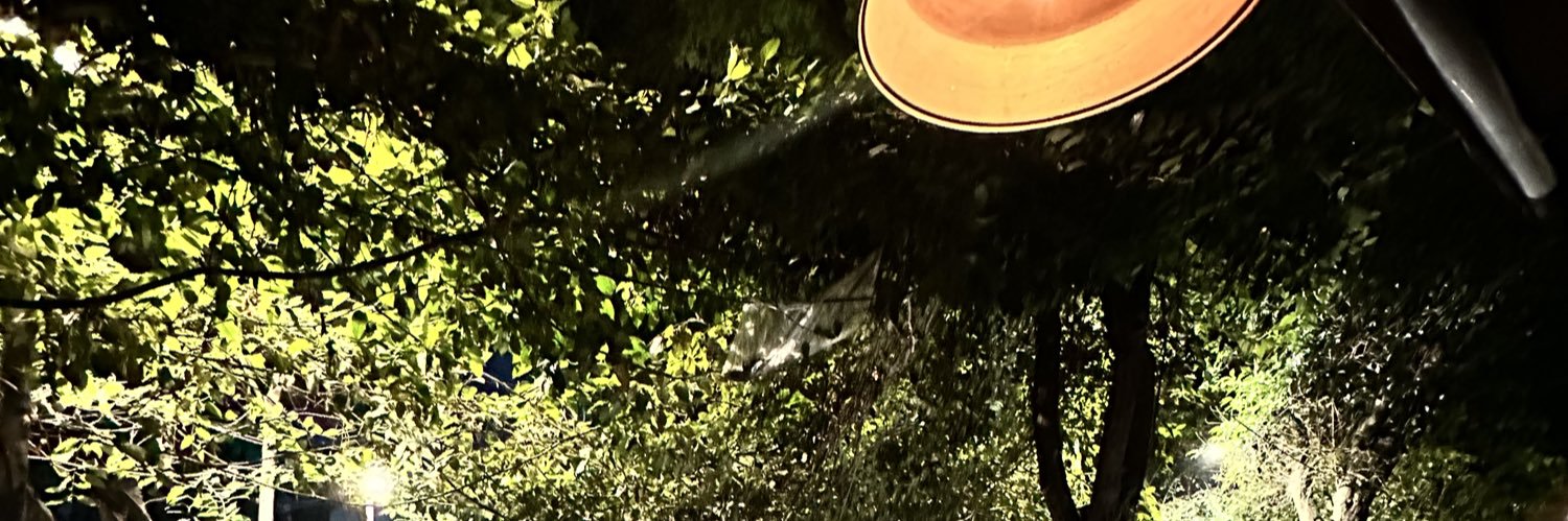 SPFarfan's profile banner image