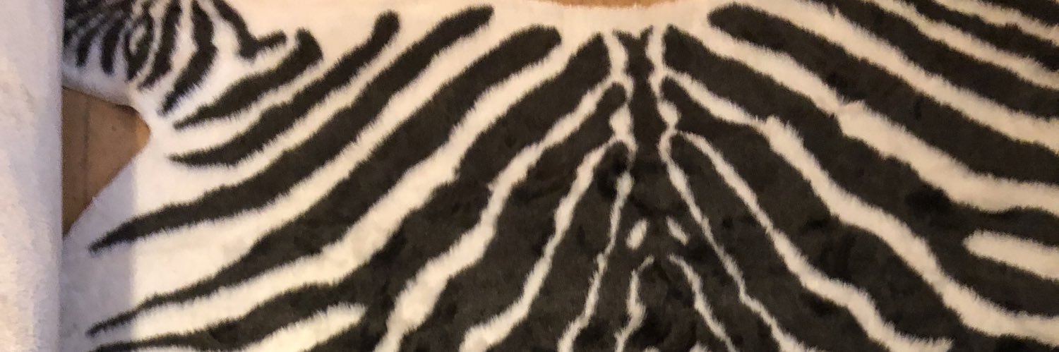 BerylOllie's profile banner image