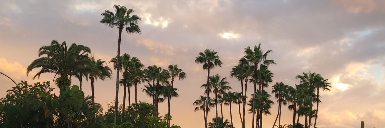 NateJRutter's profile banner image