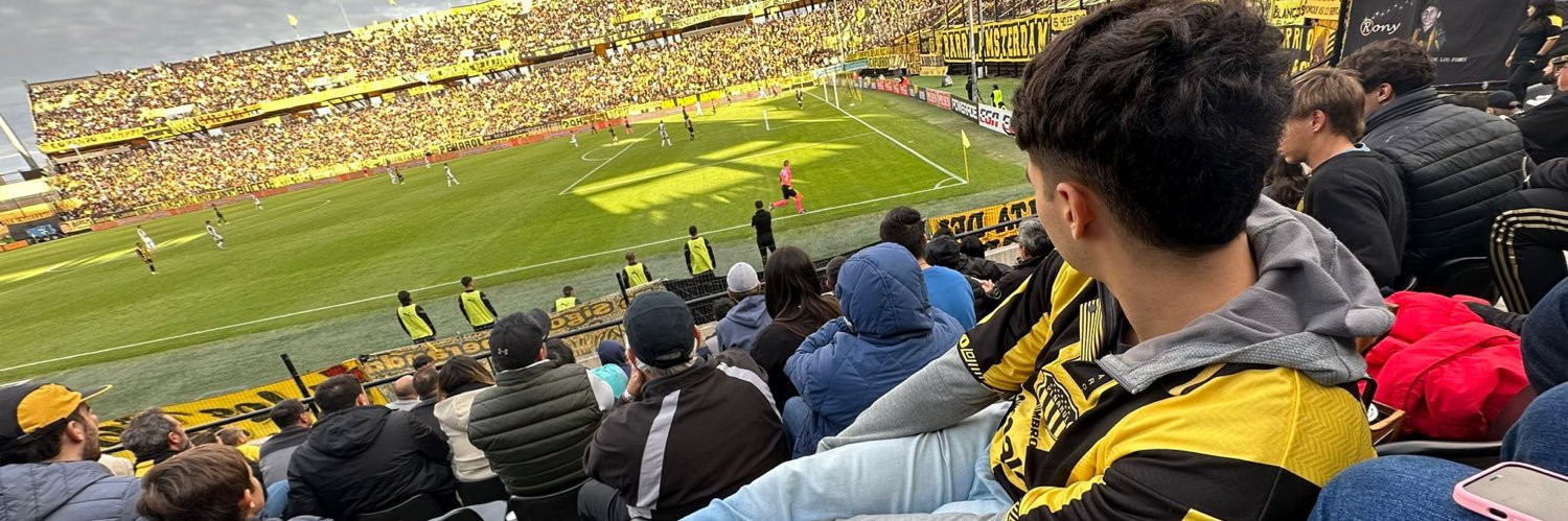 federubinoo's profile banner image