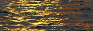 morganacker's profile banner image