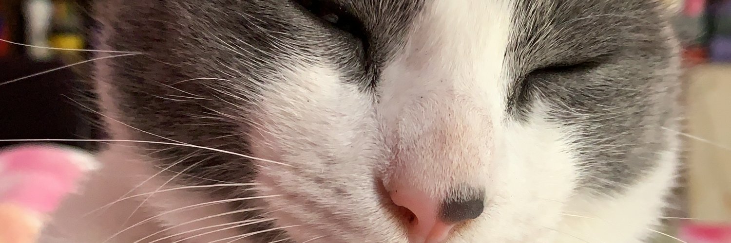 alessavbb's profile banner image