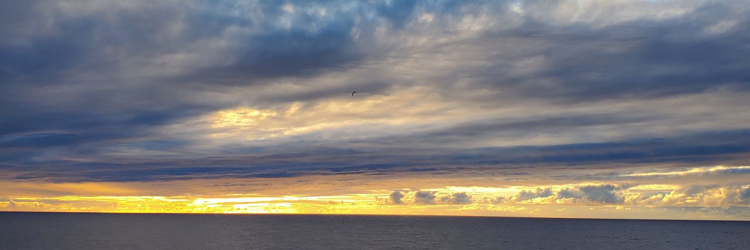 lauralosingmind's profile banner image