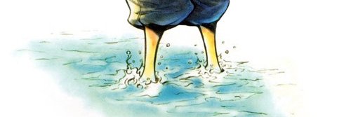DiegoNeuB's profile banner image