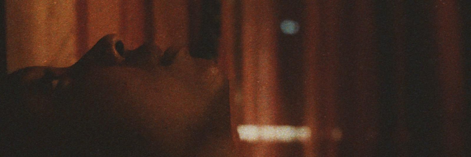 LEXImusiq's profile banner image