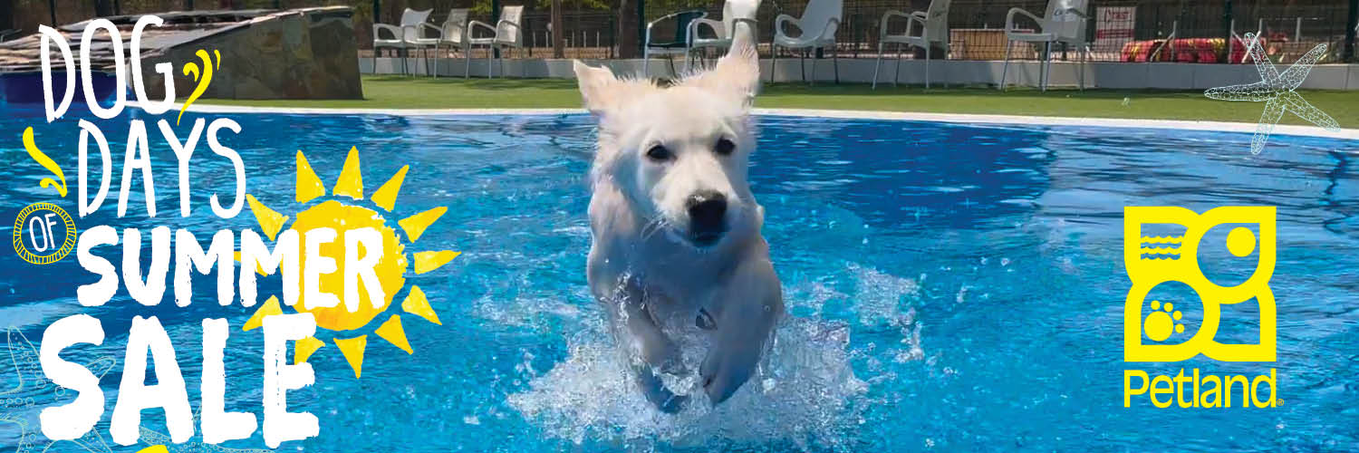 PetlandCA's profile banner image