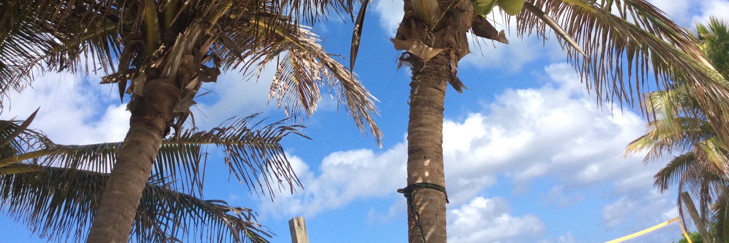 daylakaye's profile banner image
