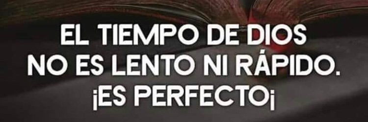 GuillerminaBae's profile banner image