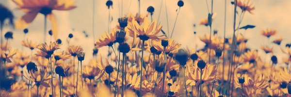 khumphreys90 Profile Banner