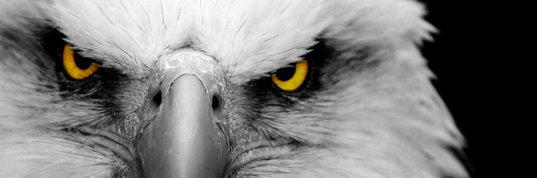 MuhammadHamzaDr's profile banner image