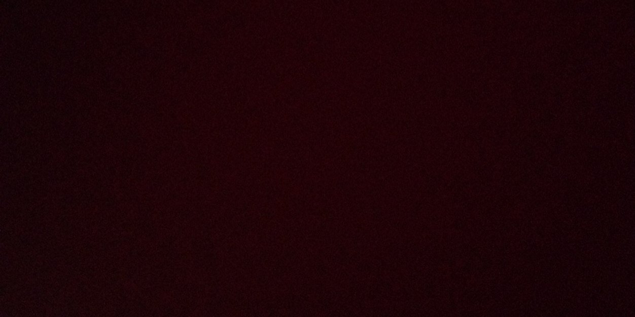 laimastanevice's profile banner image