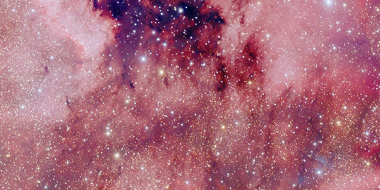 CalledNiamh's profile banner image