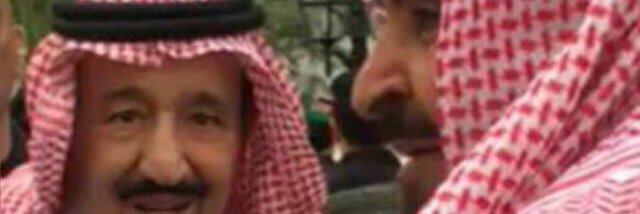 naif_t511's profile banner image