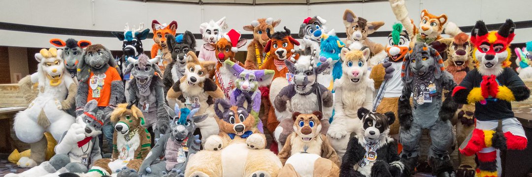 The Fuzz Factory banner